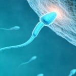 cuanto cuesta una inseminacion artificial